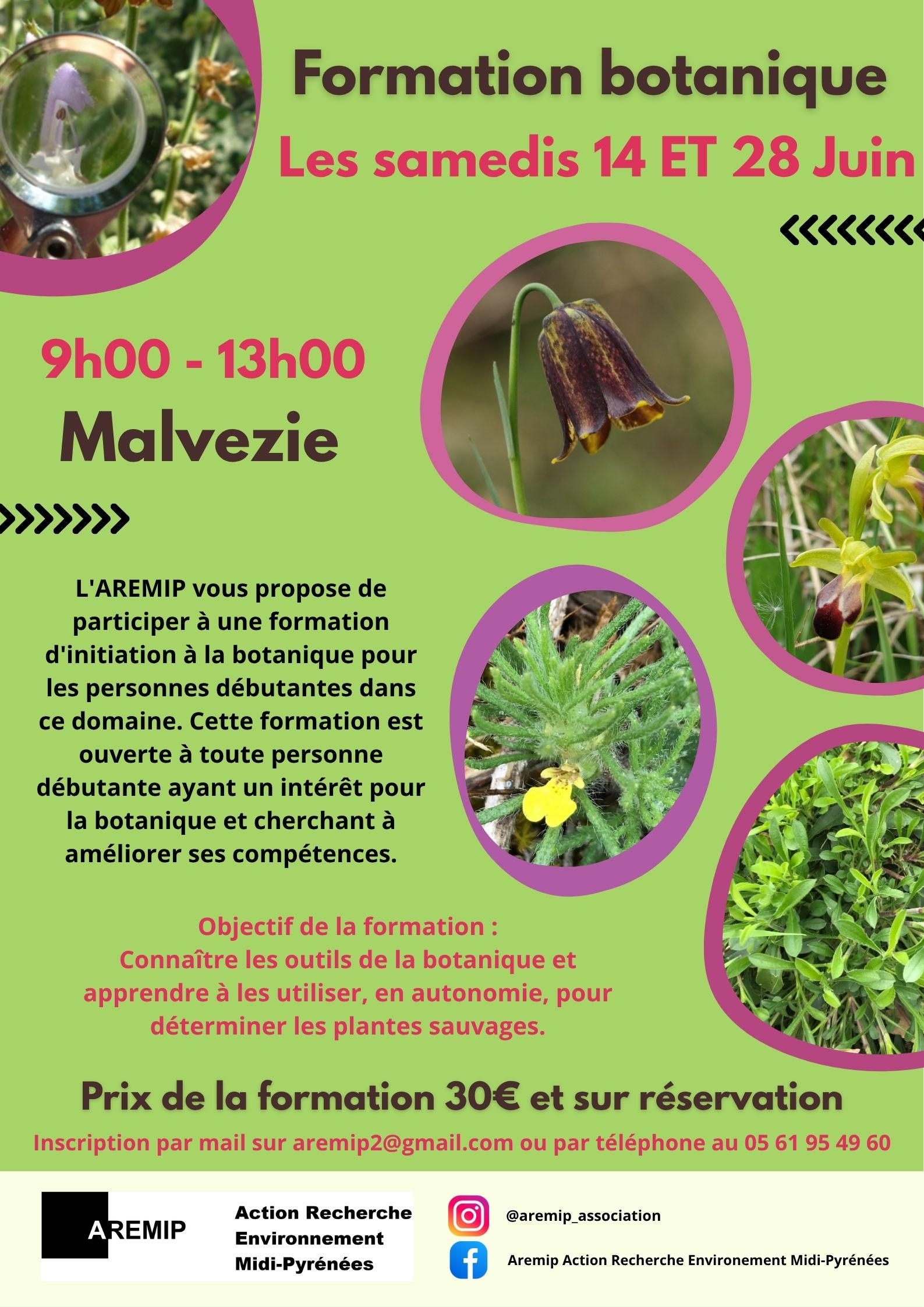 Formation « Initiation à la botanique » à Malvezie (31)