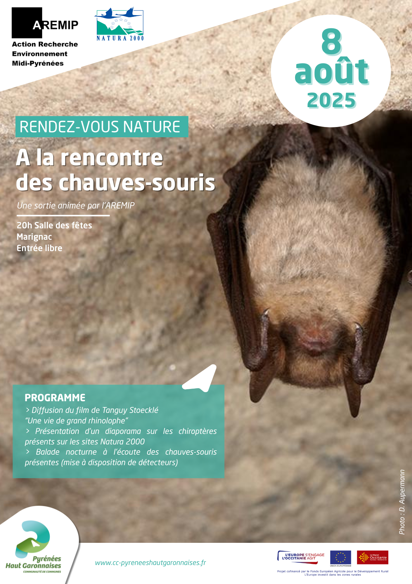 Soirée « A la découverte des chauves-souris »