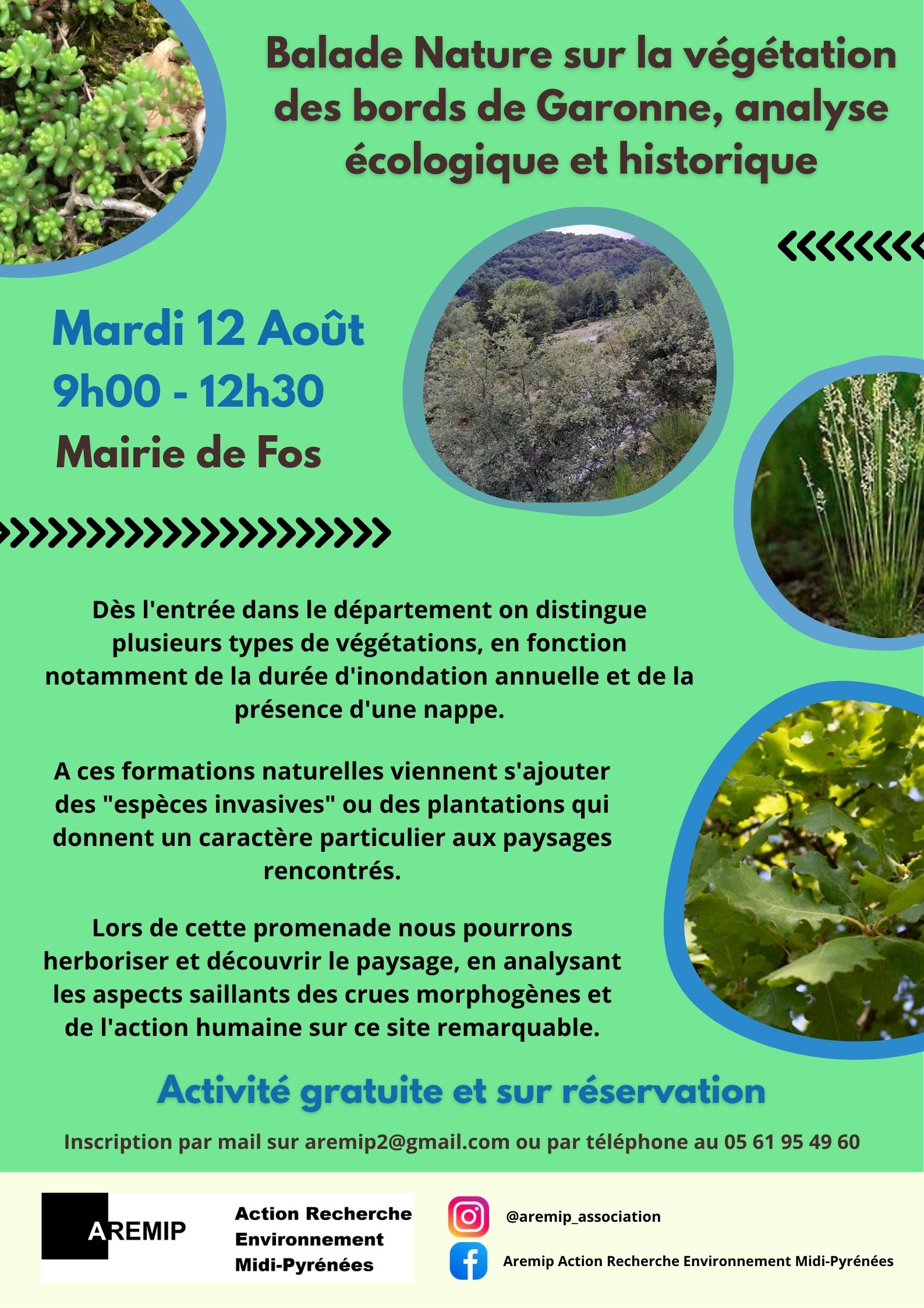 Balade Nature sur la végétation des bords de Garonne, analyse écologique et historique