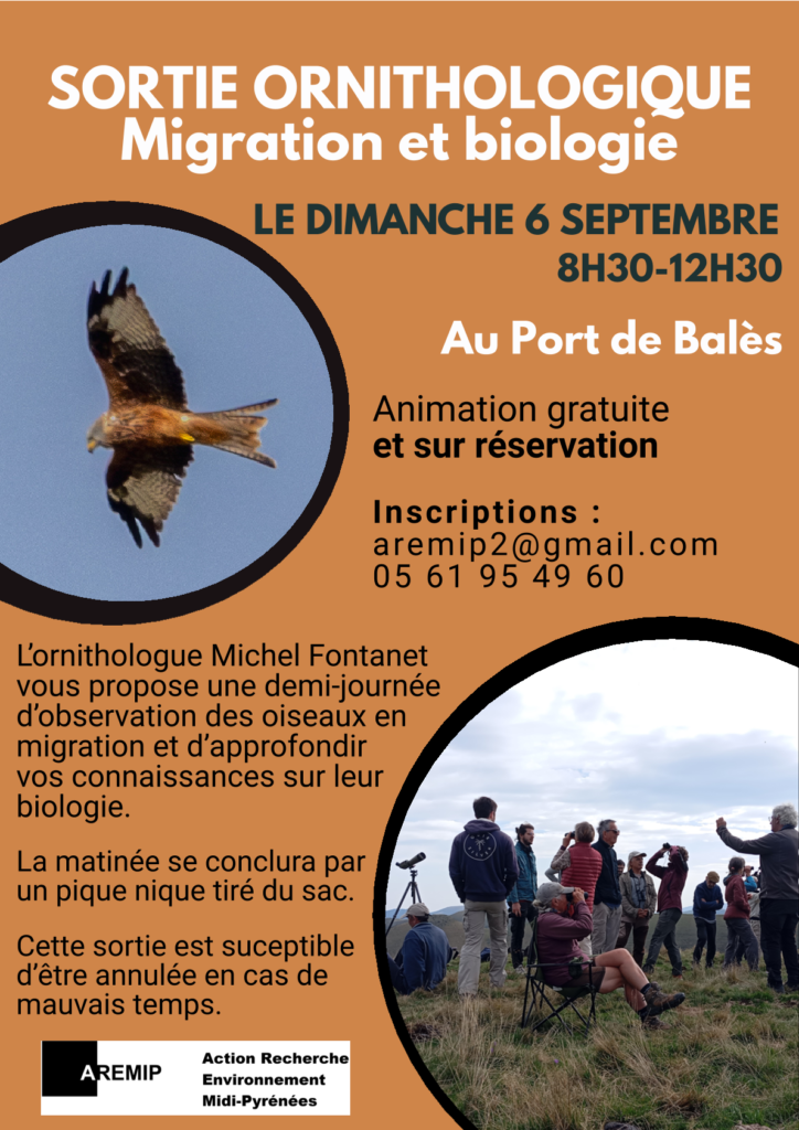 Sortie Ornitho : Migration et biologie